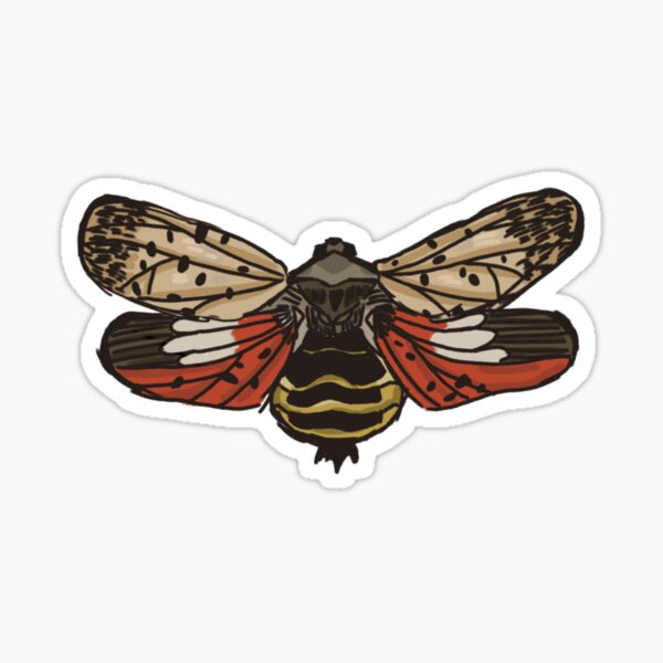 Item preview, spotted lanternfly in flight  designed and sold by Jade Gathercole.