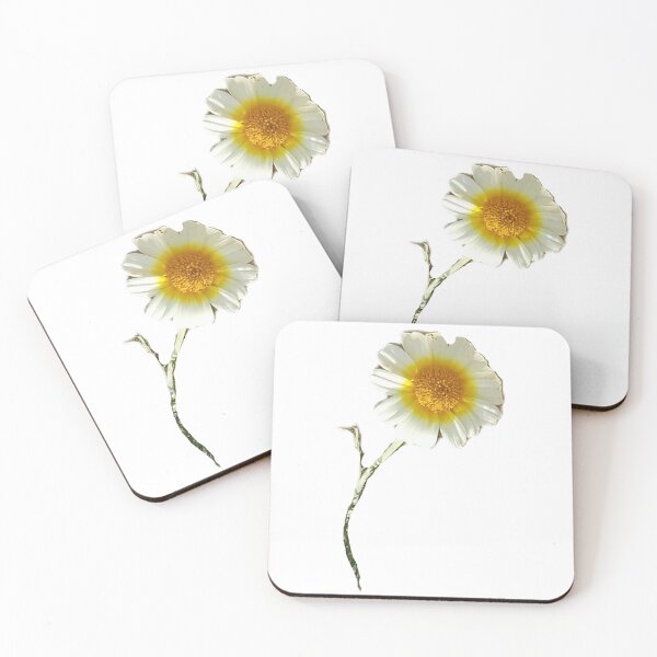 Item preview, DAISY FLOWER DESIGN STYLE  designed and sold by Tobyhuckels1991.