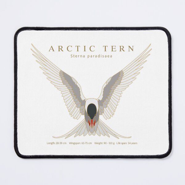 Item preview, Arctic tern (Sterna paradisaea) designed and sold by AndySteer.