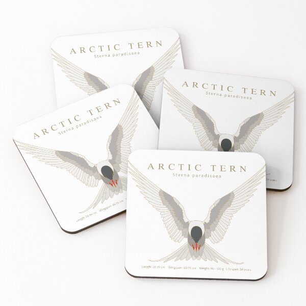 Item preview, Arctic tern (Sterna paradisaea) designed and sold by AndySteer.