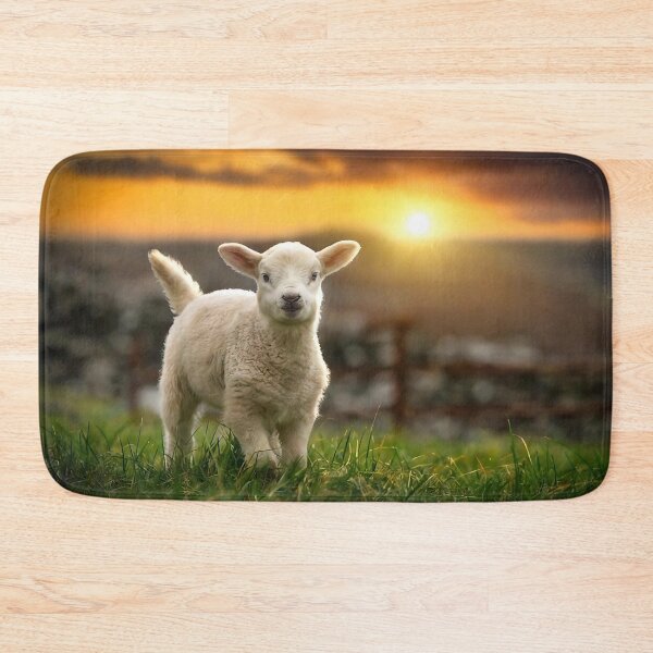 Item preview, Cute Lamb Photograph 1 designed and sold by Animal Overload.