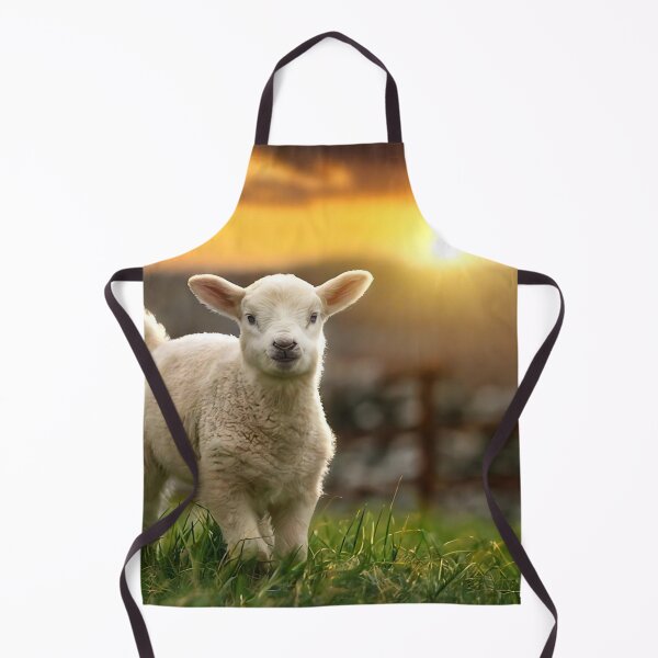 Item preview, Cute Lamb Photograph 1 designed and sold by Animal Overload.