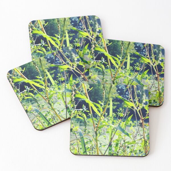 Item preview, Wild plant meadow landscape | botanical art photography  designed and sold by lausn.