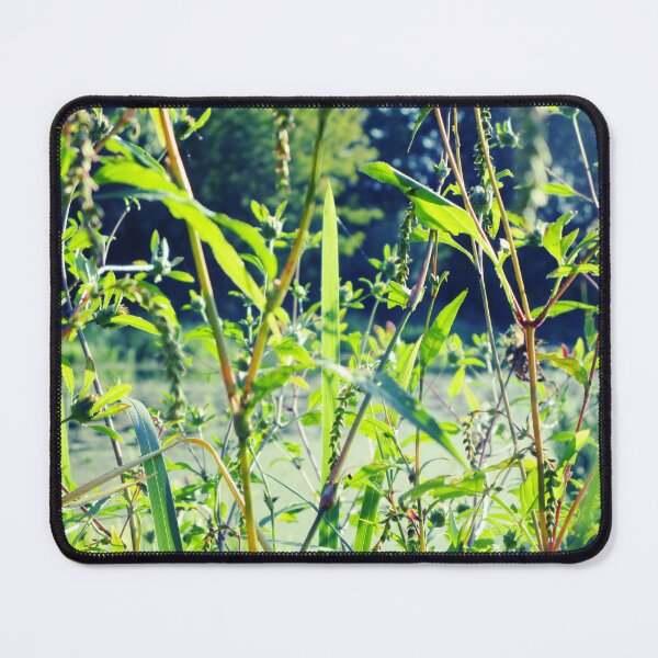 Item preview, Wild plant meadow landscape | botanical art photography  designed and sold by lausn.