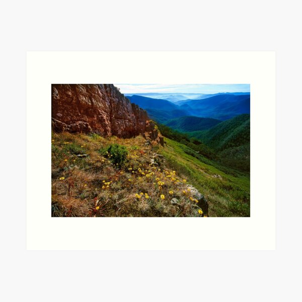 Item preview, Summer wildflowers, Mt. Speculation designed and sold by Kevin McGennan.
