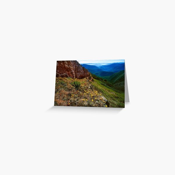 Item preview, Summer wildflowers, Mt. Speculation designed and sold by Kevin McGennan.