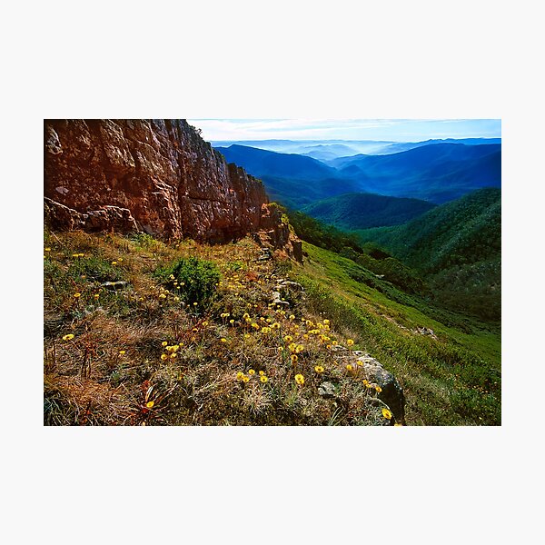 Item preview, Summer wildflowers, Mt. Speculation designed and sold by Kevin McGennan.