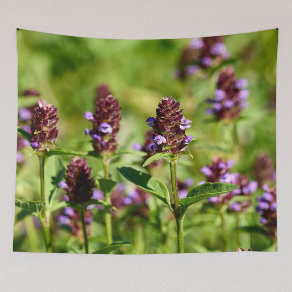 Item preview, The healing group. Common self-heal designed and sold by Jouko Lehto Photography.