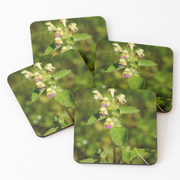 Item preview, The colorfull Large-flowered hemp-nettle designed and sold by Jouko Lehto Photography.