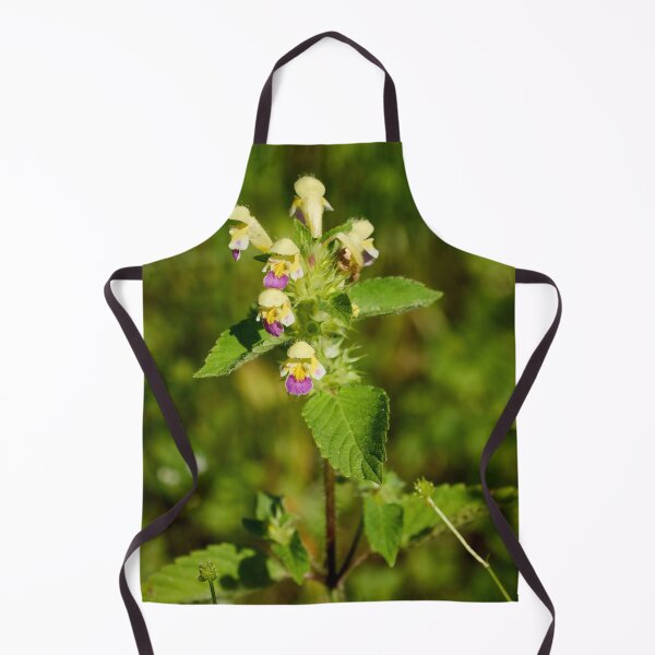 Item preview, The colorfull Large-flowered hemp-nettle designed and sold by Jouko Lehto Photography.