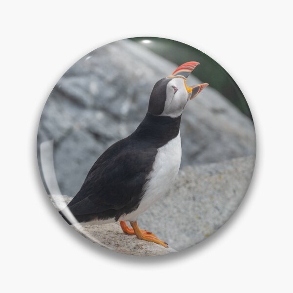 Item preview, Atlantic Puffin Honking designed and sold by ReRe Moyer.