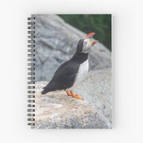 Item preview, Atlantic Puffin Honking designed and sold by ReRe Moyer.