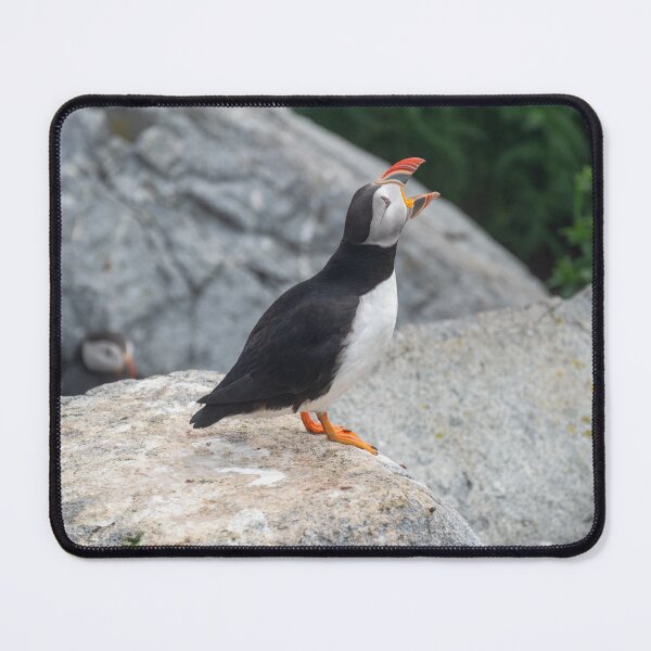 Item preview, Atlantic Puffin Honking designed and sold by ReRe Moyer.
