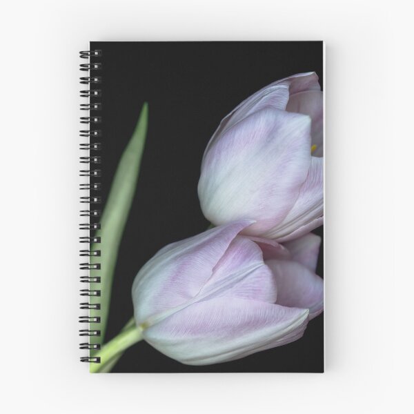 Item preview, Two delicated tulips. designed and sold by Federpics.