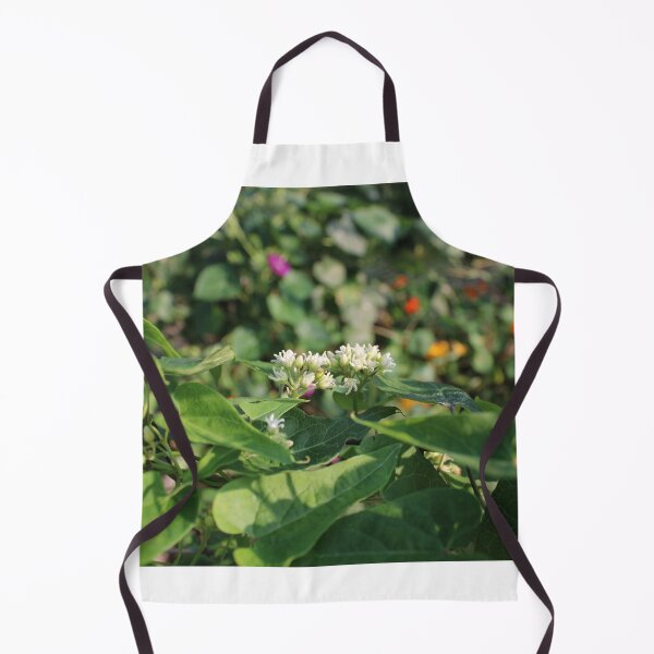Item preview, Cynanchum designed and sold by McFleur's Lens.