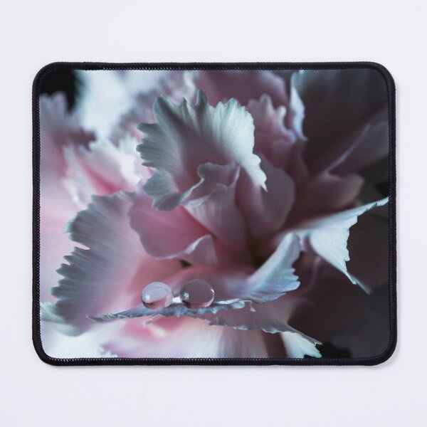 Item preview, Droplets inside a carnation. designed and sold by Federpics.