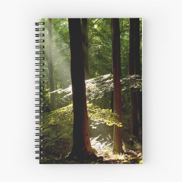 Item preview, Digital photograph of sunlit tree designed and sold by SimonJohnson1.