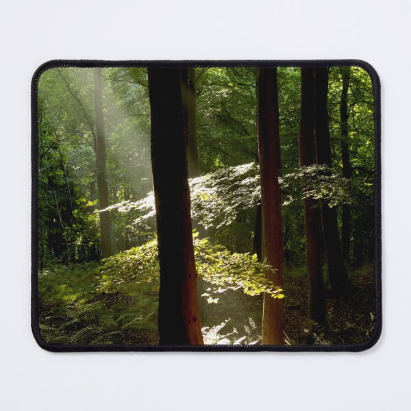 Item preview, Digital photograph of sunlit tree designed and sold by SimonJohnson1.