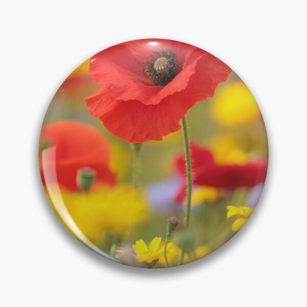 Artikelvorschau, Digitales Foto einer sonnenbeschienenen Mohnblüte entworfen und verkauft von SimonJohnson1.