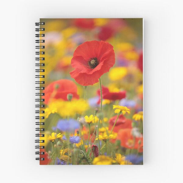 Artikelvorschau, Digitales Foto einer sonnenbeschienenen Mohnblüte entworfen und verkauft von SimonJohnson1.