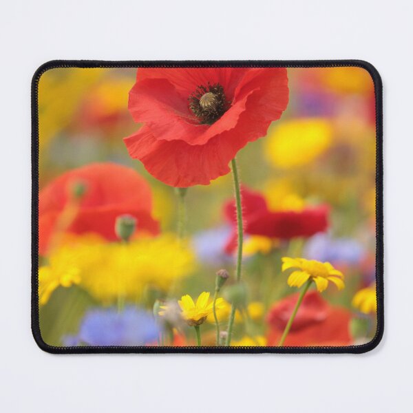 Item preview, Digital photograph of sunlit Poppy flower designed and sold by SimonJohnson1.