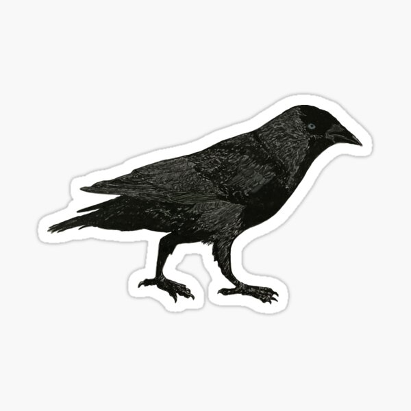 Artikel-Vorschau von Dohle, designt und verkauft von LynseysArtShop.