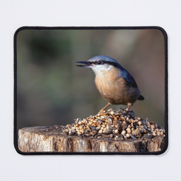 Item preview, The Nuthatch designed and sold by Tom McPherson Photography.