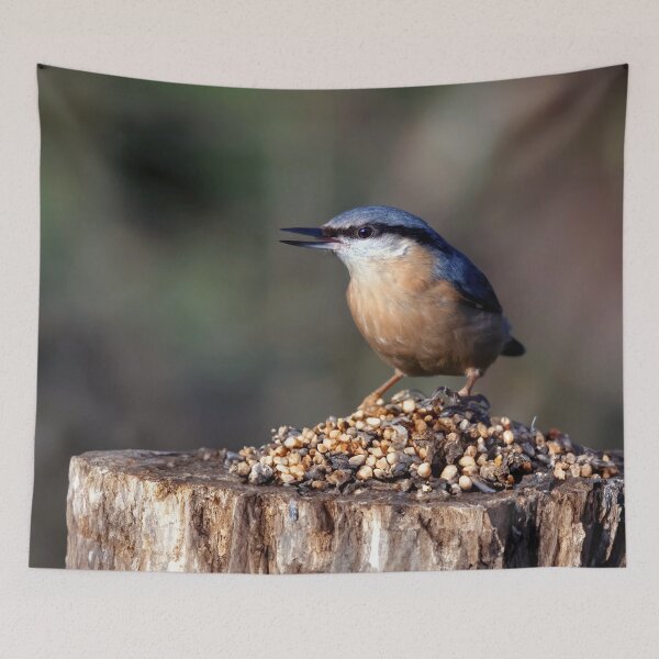 Item preview, The Nuthatch designed and sold by Tom McPherson Photography.