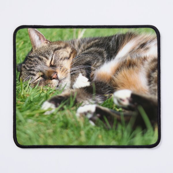 Item preview, Snoozing tabby designed and sold by GreyFeatherPhot.