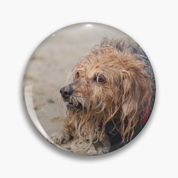 Item preview, Dog playing on the beach designed and sold by GreyFeatherPhot.