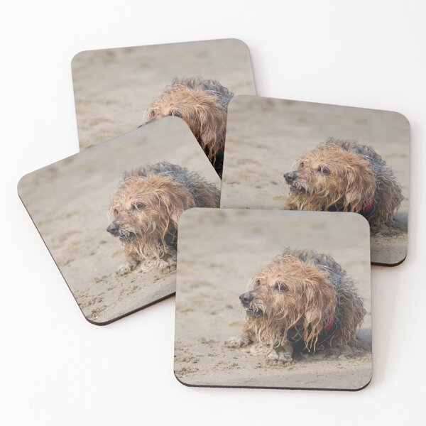 Item preview, Dog playing on the beach designed and sold by GreyFeatherPhot.
