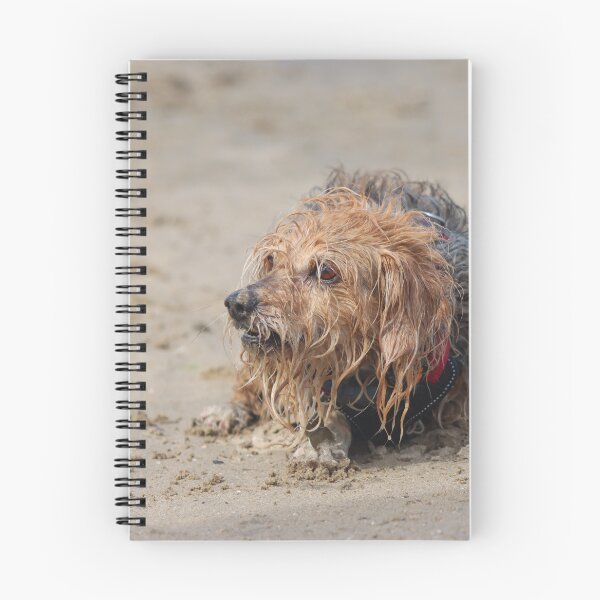 Item preview, Dog playing on the beach designed and sold by GreyFeatherPhot.