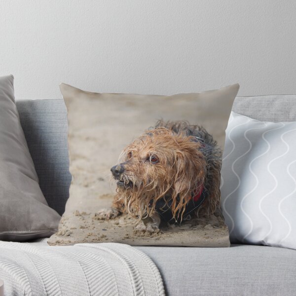 Item preview, Dog playing on the beach designed and sold by GreyFeatherPhot.