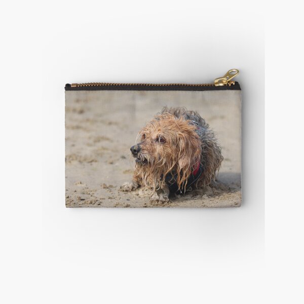 Item preview, Dog playing on the beach designed and sold by GreyFeatherPhot.