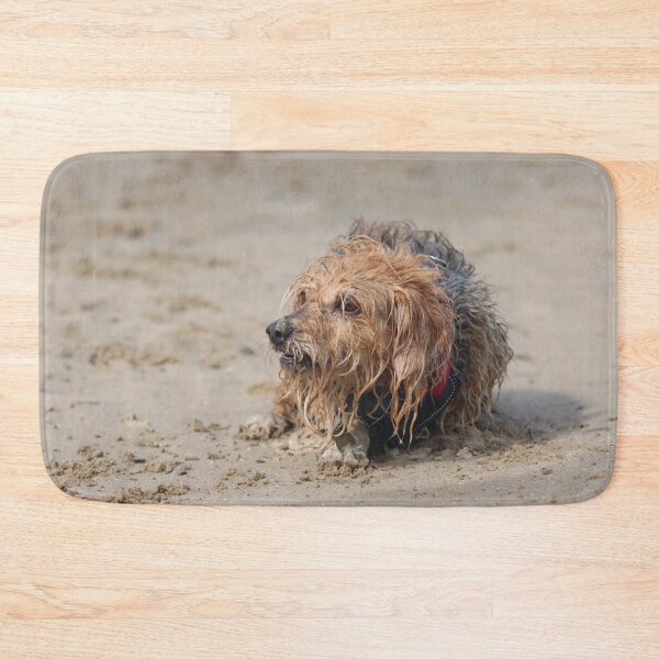 Item preview, Dog playing on the beach designed and sold by GreyFeatherPhot.