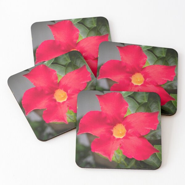 Item preview, Red Mandevilla Flower Vine X110 designed and sold by RichFrancoCars.