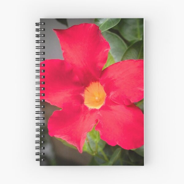 Item preview, Red Mandevilla Flower Vine X110 designed and sold by RichFrancoCars.