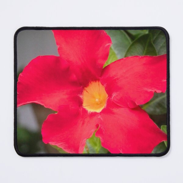 Item preview, Red Mandevilla Flower Vine X110 designed and sold by RichFrancoCars.