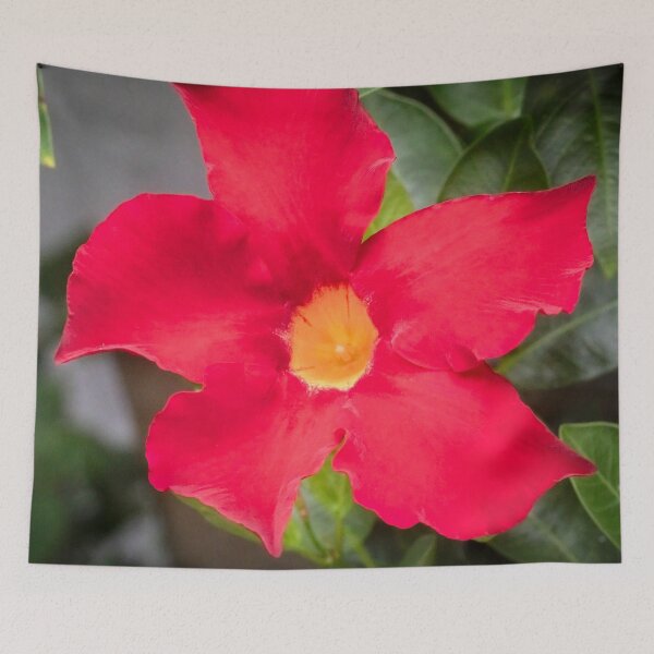 Item preview, Red Mandevilla Flower Vine X110 designed and sold by RichFrancoCars.