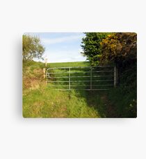 Irish field in springtime Canvas Print
