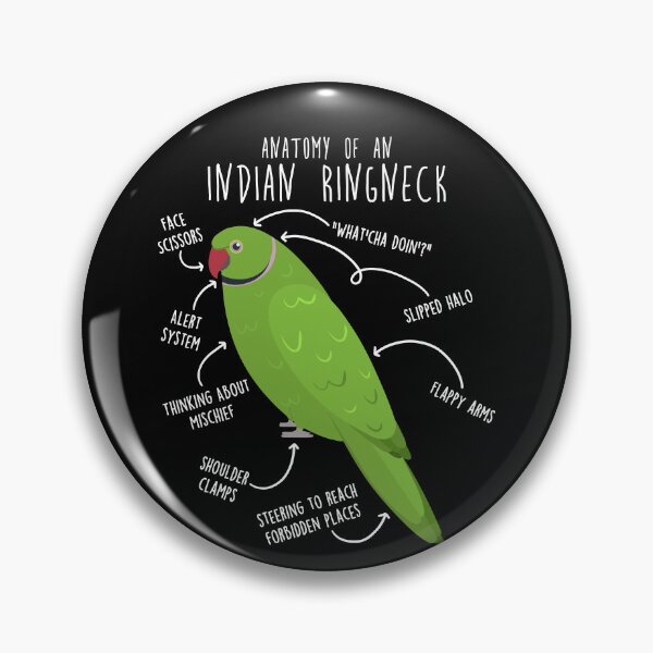 Item preview, Indian Ringneck Parrot Anatomy designed and sold by Clara Hollins.