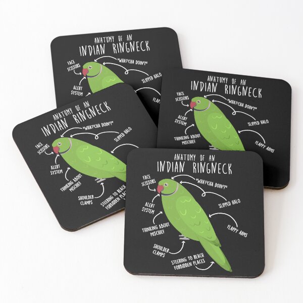 Item preview, Indian Ringneck Parrot Anatomy designed and sold by Clara Hollins.