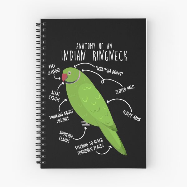 Item preview, Indian Ringneck Parrot Anatomy designed and sold by Clara Hollins.