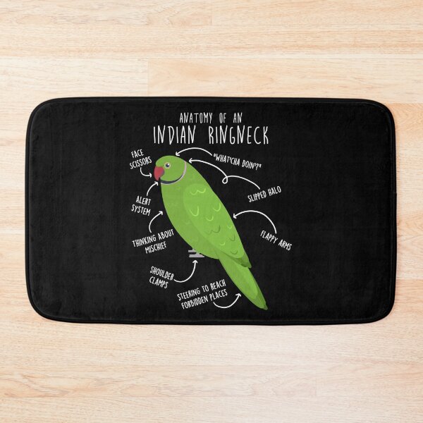Item preview, Indian Ringneck Parrot Anatomy designed and sold by Clara Hollins.