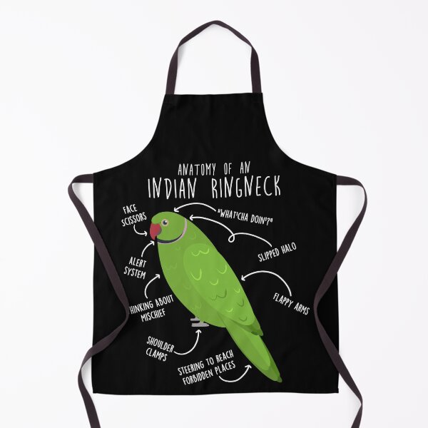 Item preview, Indian Ringneck Parrot Anatomy designed and sold by Clara Hollins.