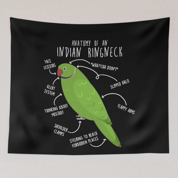 Item preview, Indian Ringneck Parrot Anatomy designed and sold by Clara Hollins.