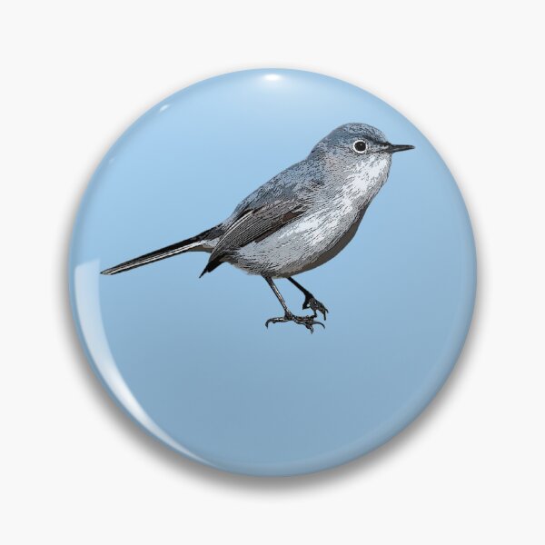 Item preview, Blue-gray Gnatcatcher Color Design  designed and sold by designsasstultd.