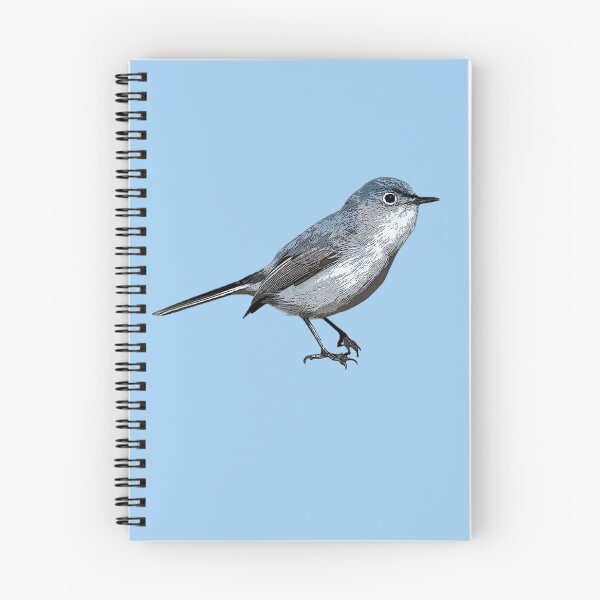 Item preview, Blue-gray Gnatcatcher Color Design  designed and sold by designsasstultd.