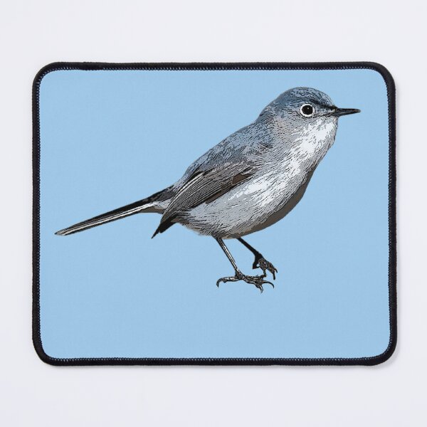 Item preview, Blue-gray Gnatcatcher Color Design  designed and sold by designsasstultd.
