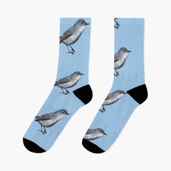 Item preview, Blue-gray Gnatcatcher Color Design  designed and sold by designsasstultd.